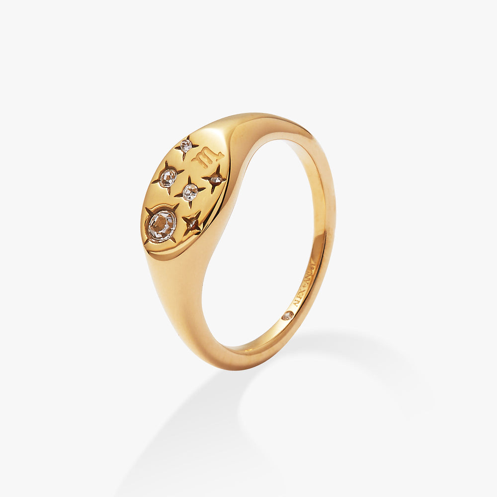 Scorpio Zodiac Ring Stainless Steel Gold | Alex and Ani