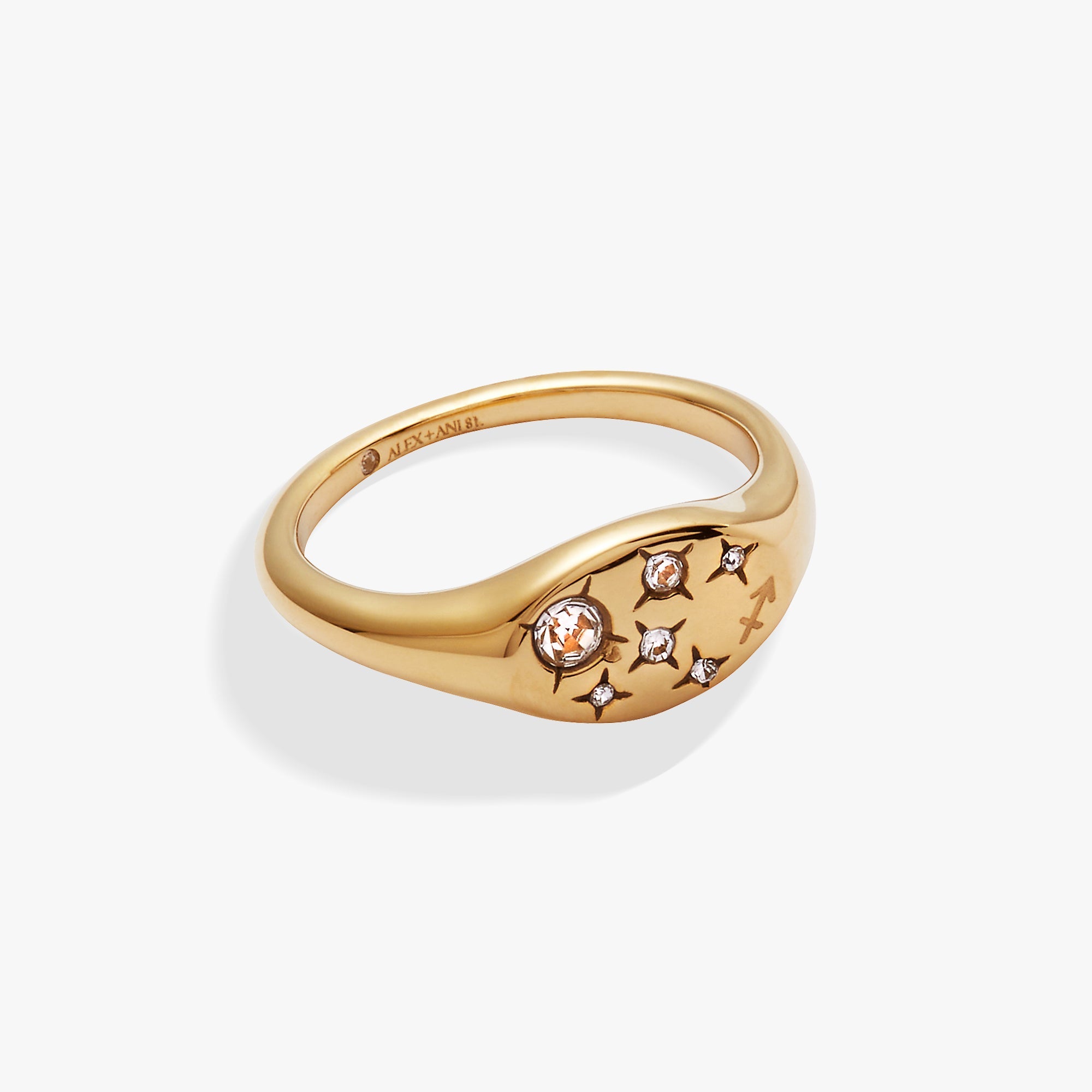 Sagittarius Zodiac Ring Stainless Steel Gold | Alex and Ani