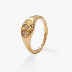 Sagittarius Zodiac Ring Stainless Steel Gold | Alex and Ani