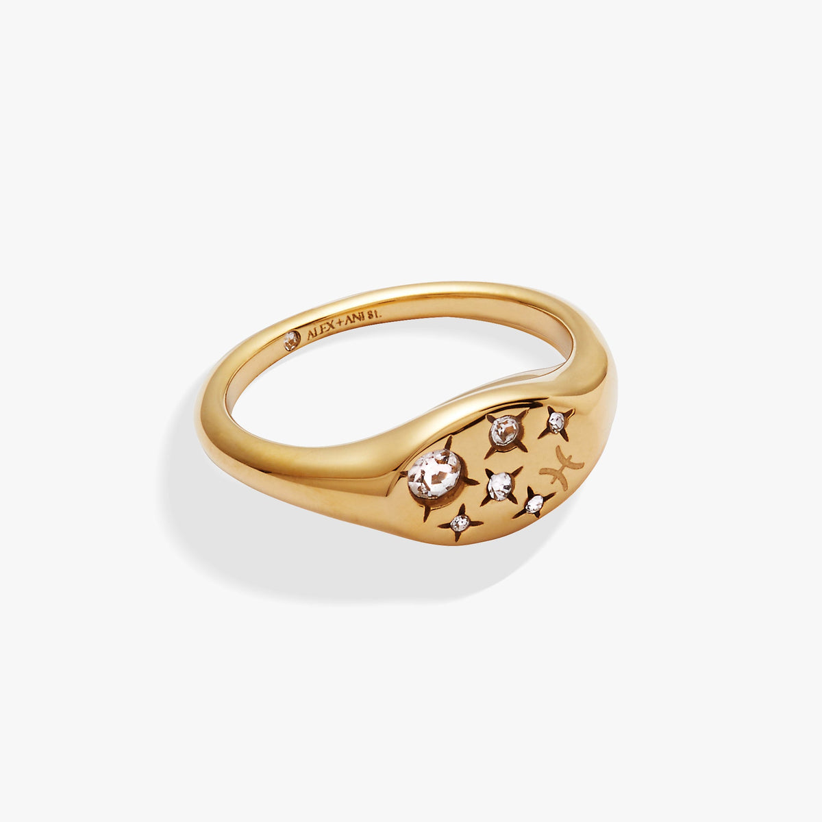 Pisces Zodiac Ring Stainless Steel Gold | Alex and Ani