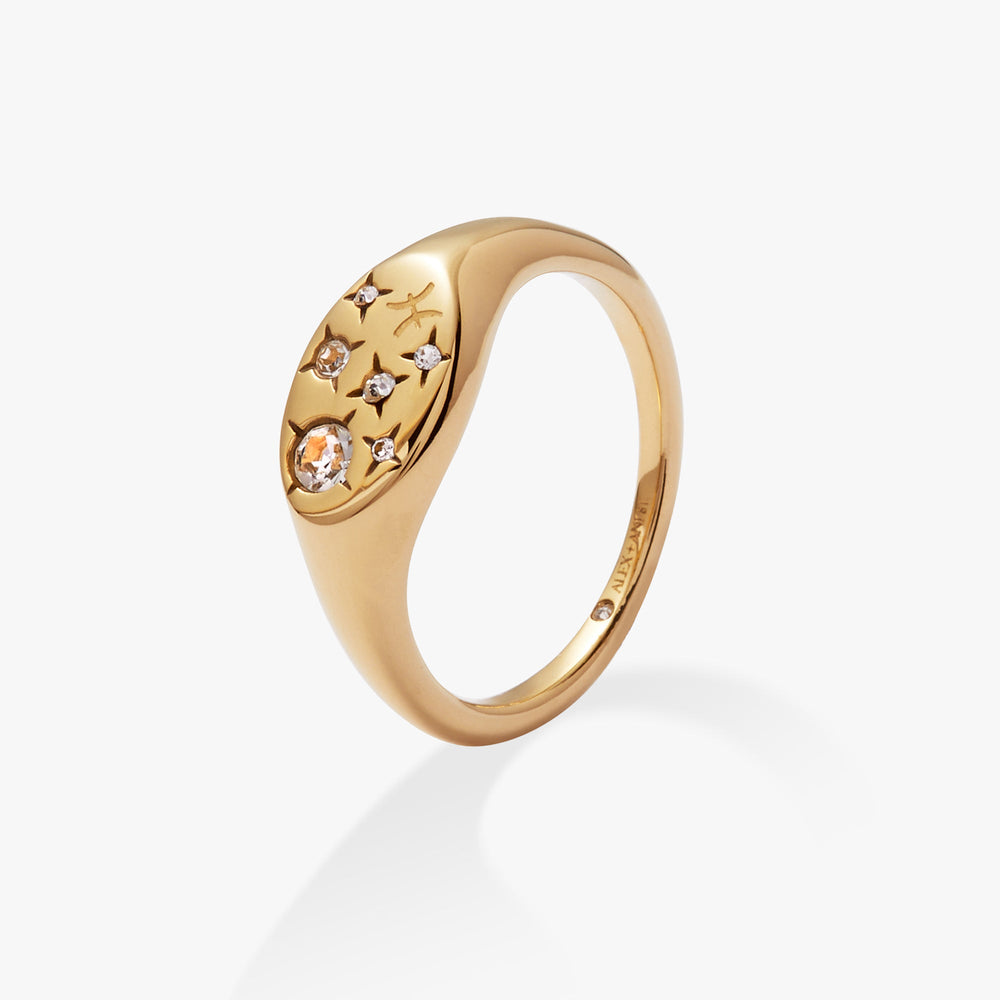 Pisces Zodiac Ring Stainless Steel Gold | Alex and Ani