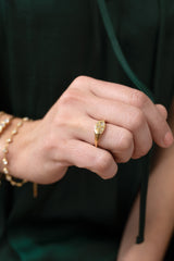 Pisces Zodiac Ring Stainless Steel Gold | Alex and Ani