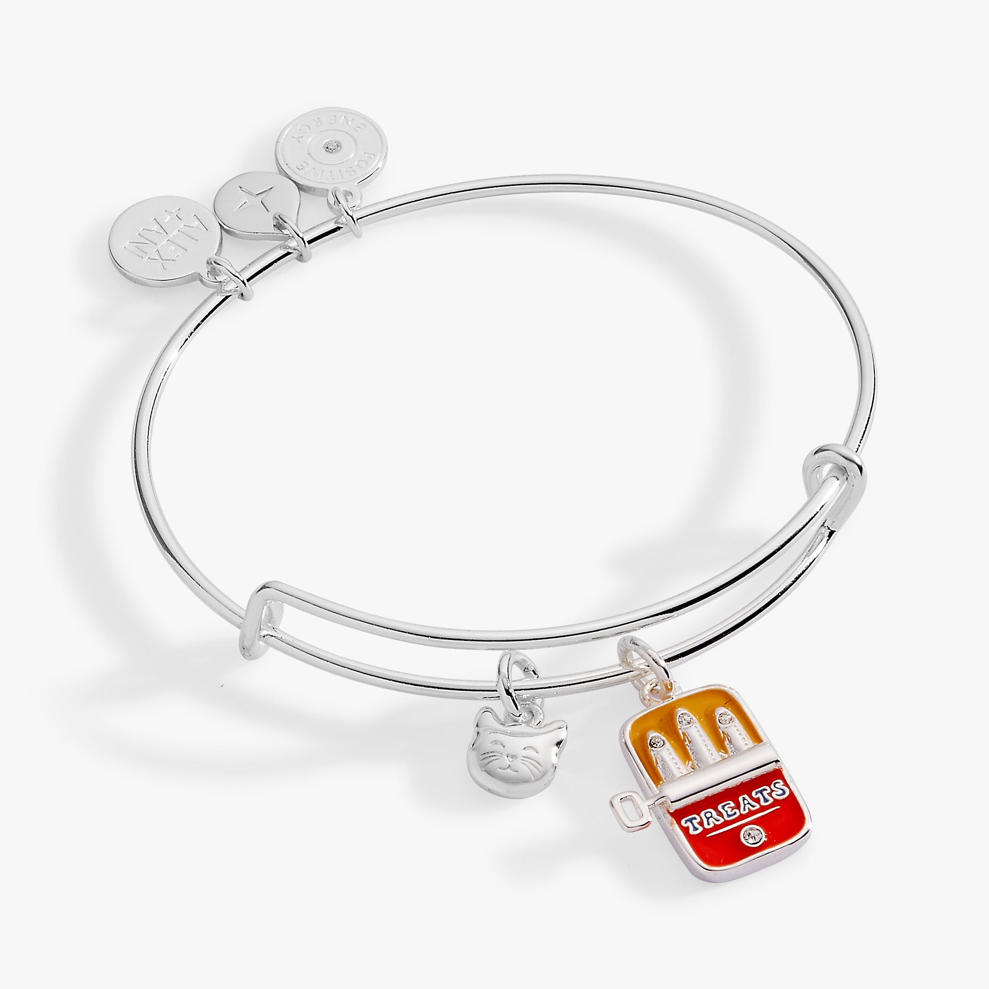 Sardine Tin Duo Charm Bangle Silver | Alex and Ani