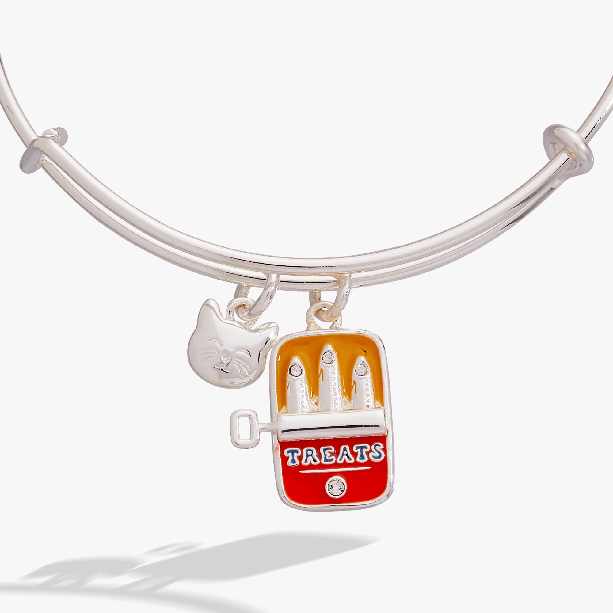 Sardine Tin Duo Charm Bangle Silver | Alex and Ani