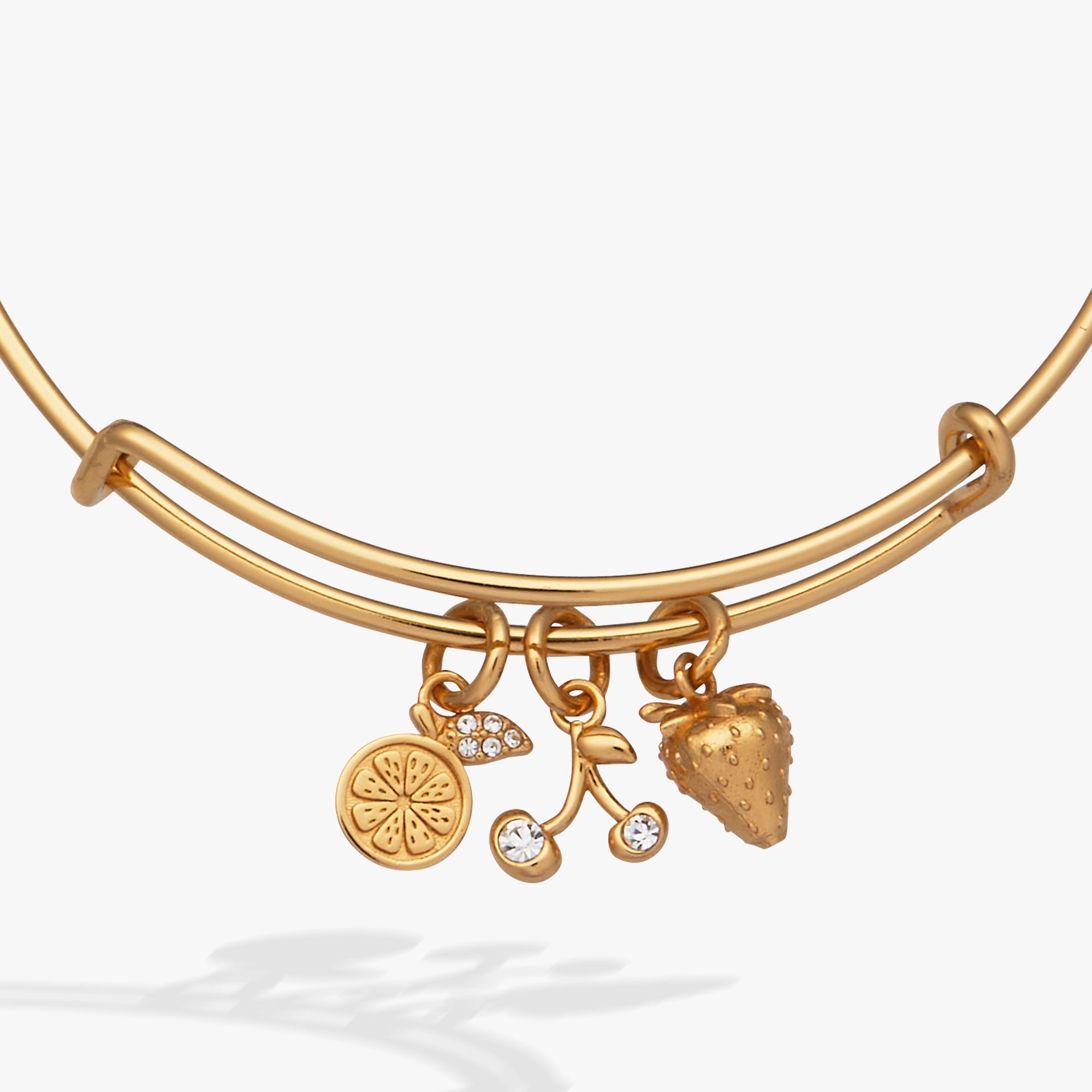 Fresh Orchard Charm Bangle Gold | Alex and Ani