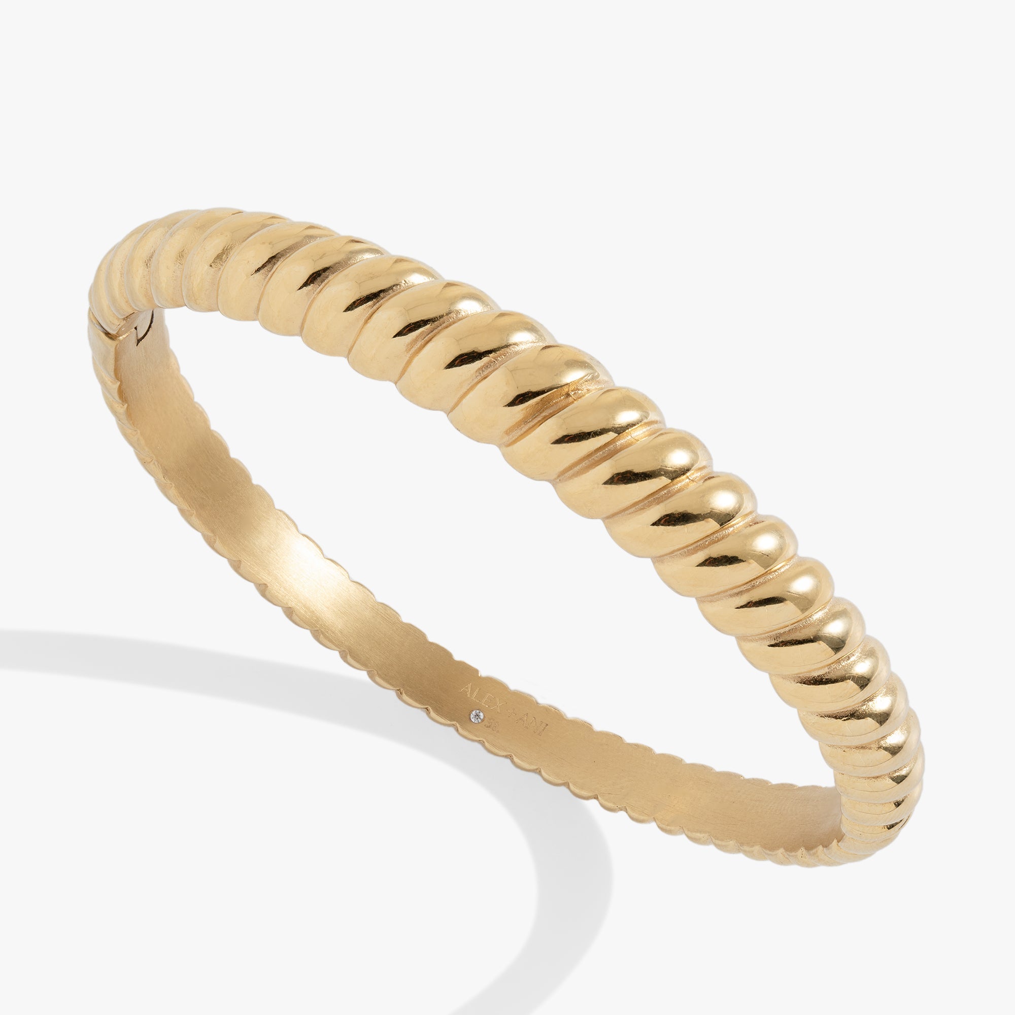 Stainless Steel Rope Textured Bangle Stainless Steel Silver | Alex and Ani