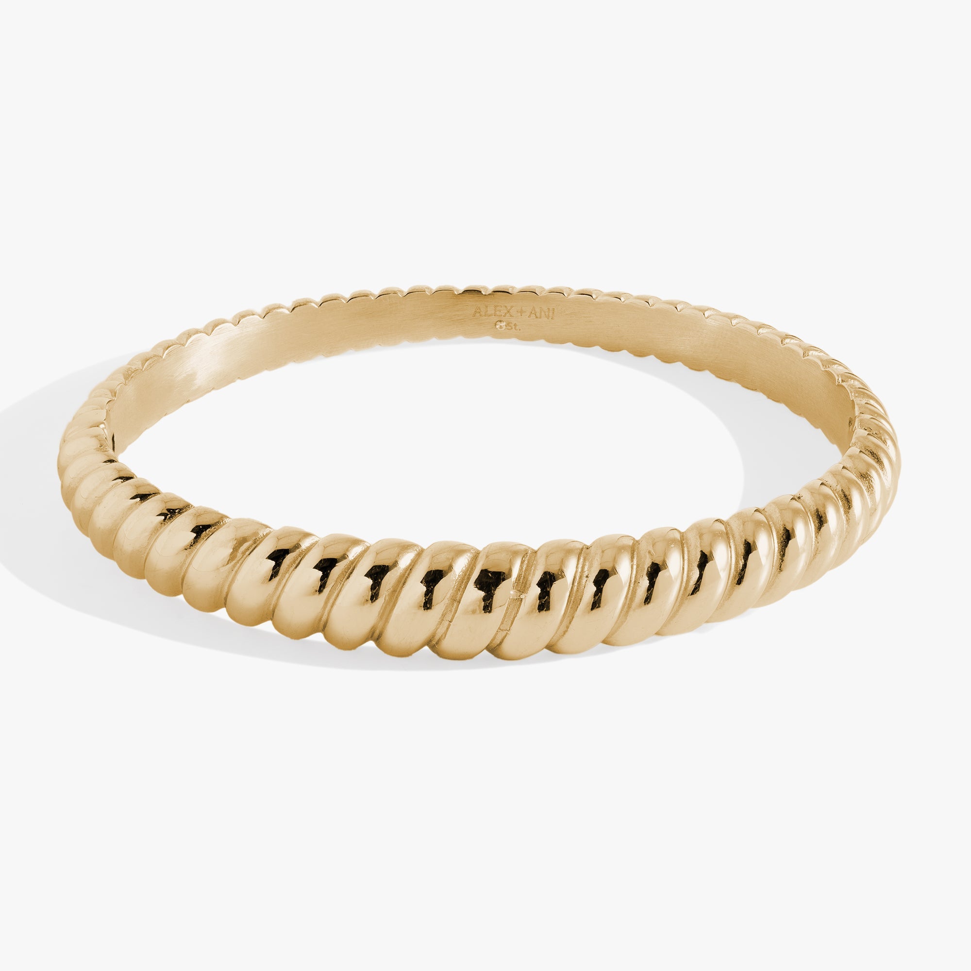 Stainless Steel Rope Textured Bangle Stainless Steel Silver | Alex and Ani