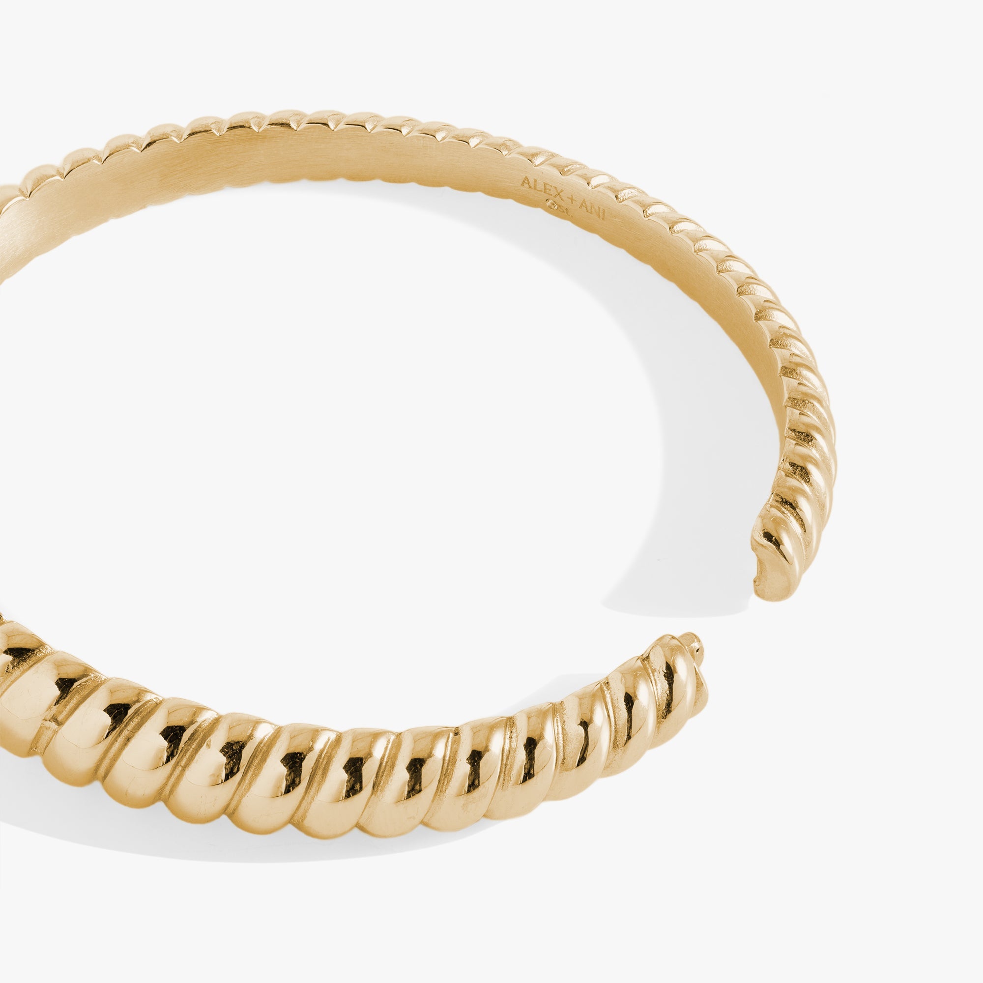 Stainless Steel Rope Textured Bangle Stainless Steel Silver | Alex and Ani