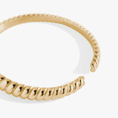 Stainless Steel Rope Textured Bangle Stainless Steel Silver | Alex and Ani