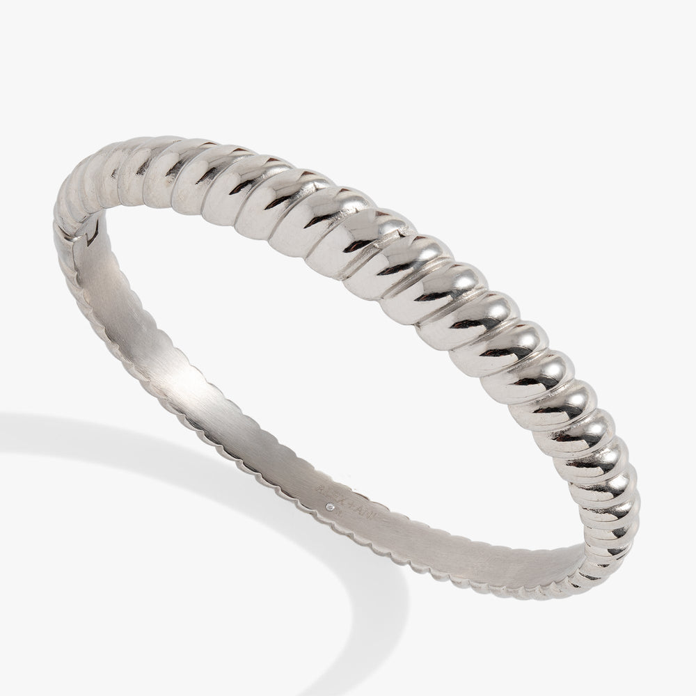 Stainless Steel Rope Textured Bangle Stainless Steel Silver | Alex and Ani