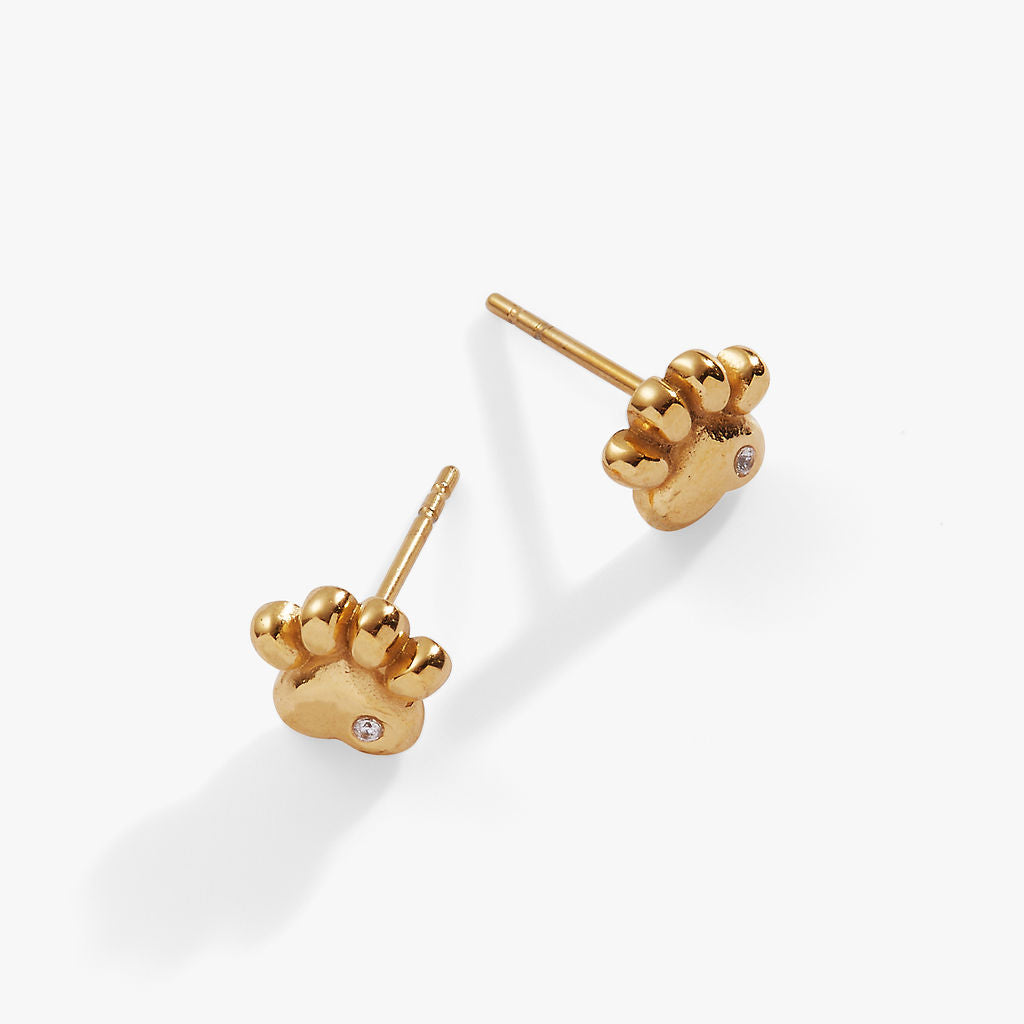 Crystal Paw Mini Stud Earrings Stainless Steel Gold | Alex and Ani