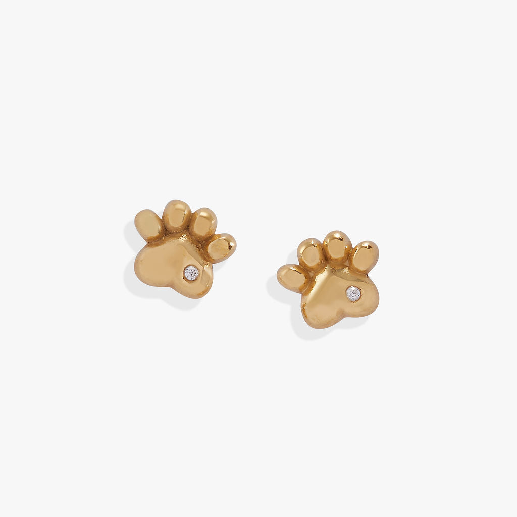 Crystal Paw Mini Stud Earrings Stainless Steel Gold | Alex and Ani