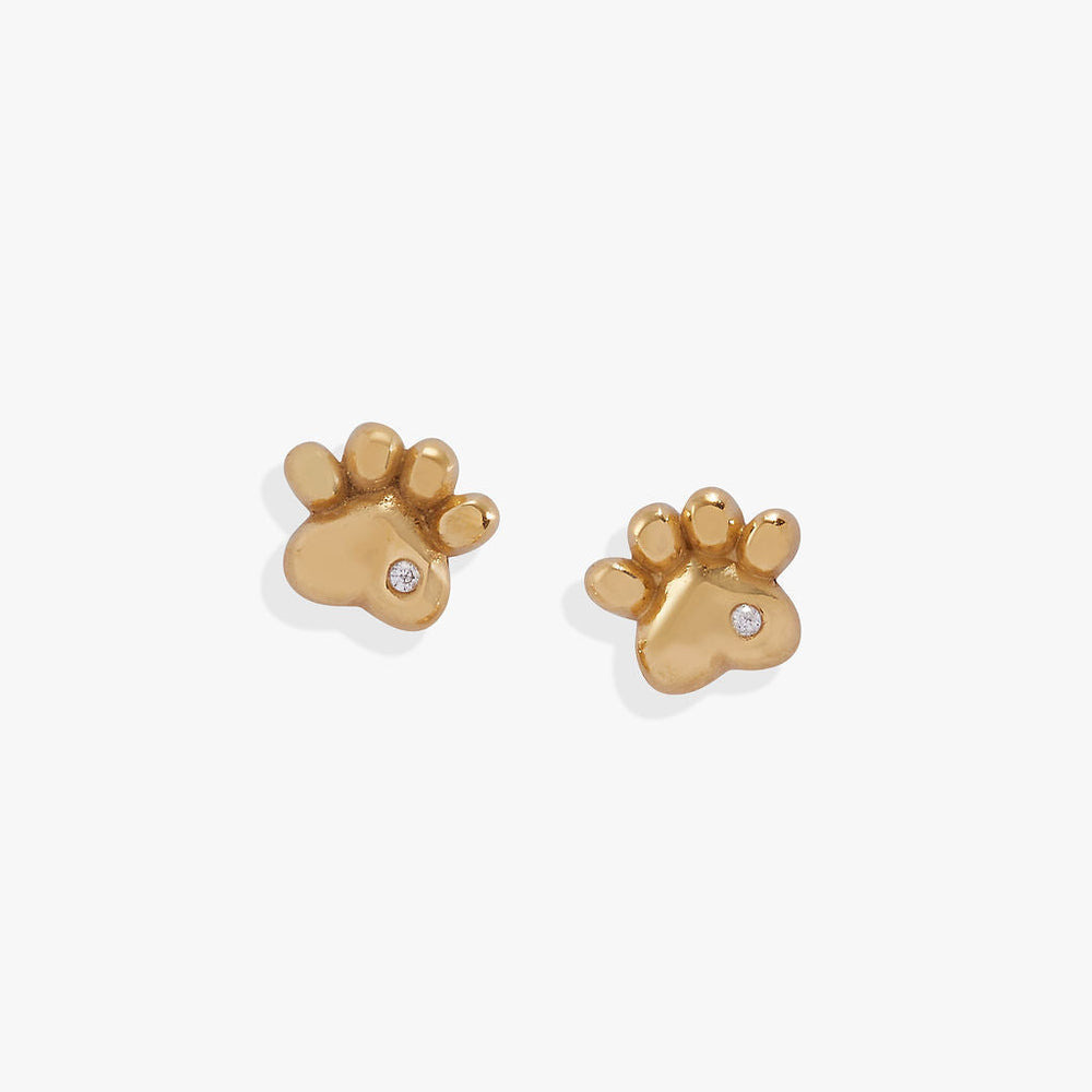 Crystal Paw Mini Stud Earrings Stainless Steel Gold | Alex and Ani