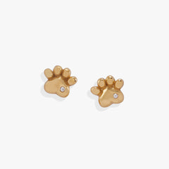 Crystal Paw Mini Stud Earrings Stainless Steel Gold | Alex and Ani