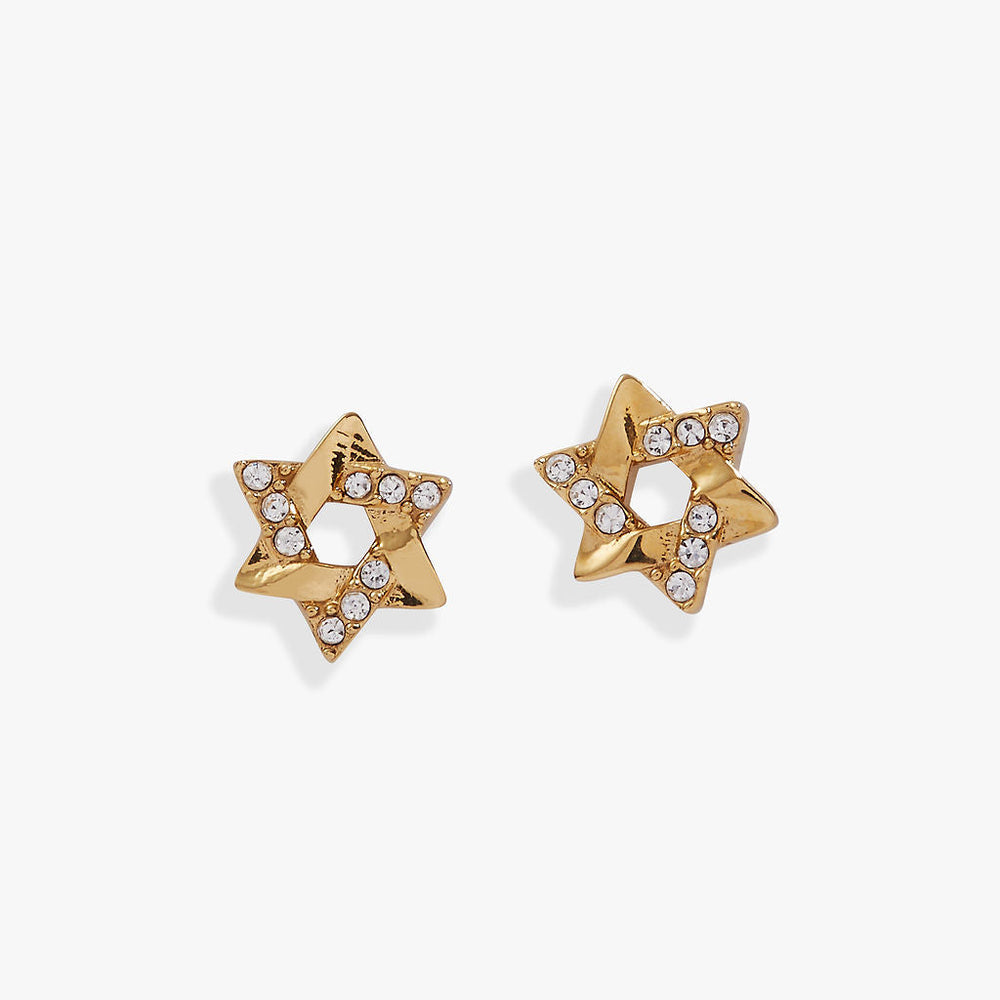 Star of David Mini Stud Earrings Stainless Steel Gold | Alex and Ani