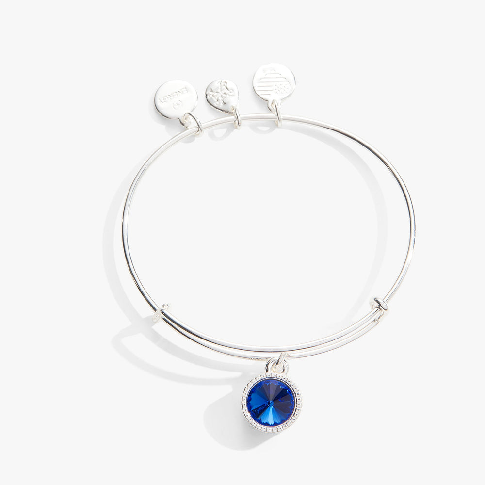 Sapphire September Birthstone Charm Bangle Silver | Alex and Ani