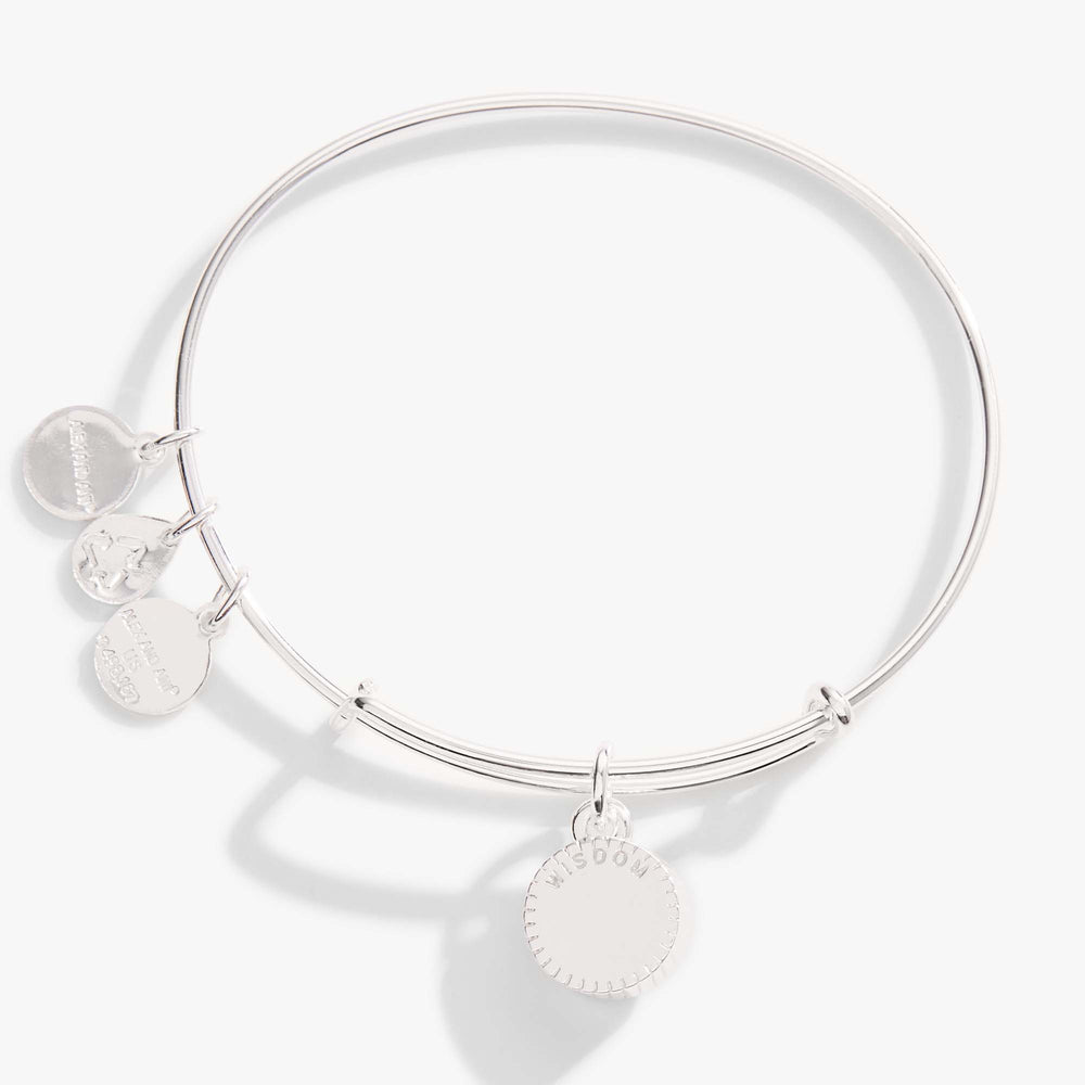 Sapphire September Birthstone Charm Bangle Silver | Alex and Ani