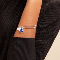 Sapphire September Birthstone Charm Bangle Silver | Alex and Ani