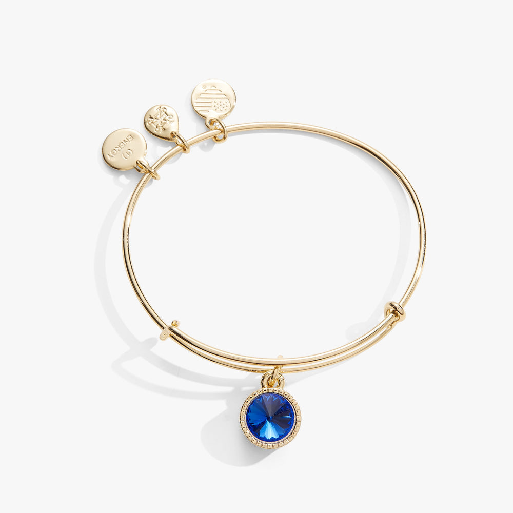Sapphire September Birthstone Charm Bangle Silver | Alex and Ani