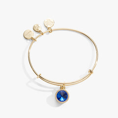 Sapphire September Birthstone Charm Bangle Silver | Alex and Ani