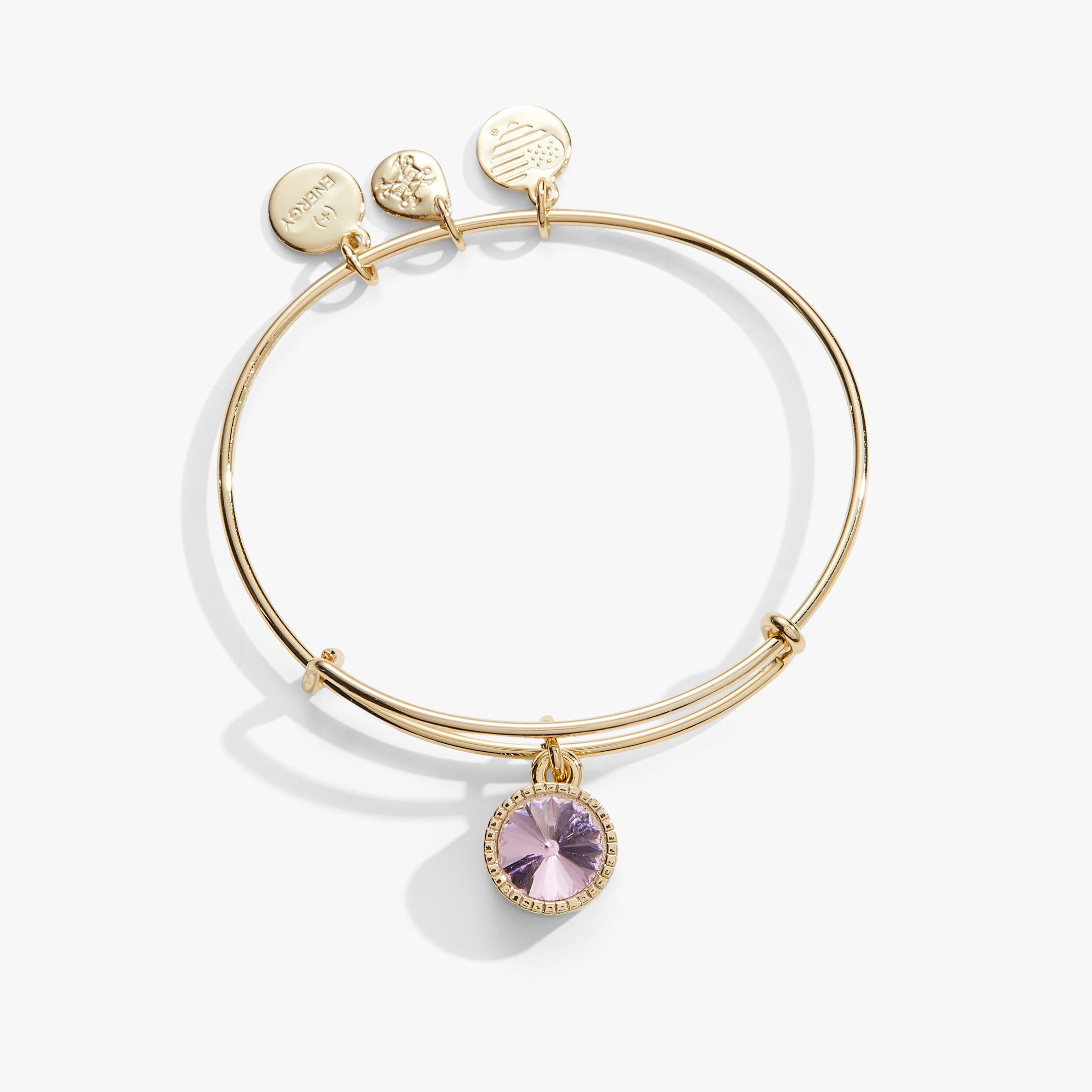 Rose October Birthstone Charm Bangle Silver | Alex and Ani