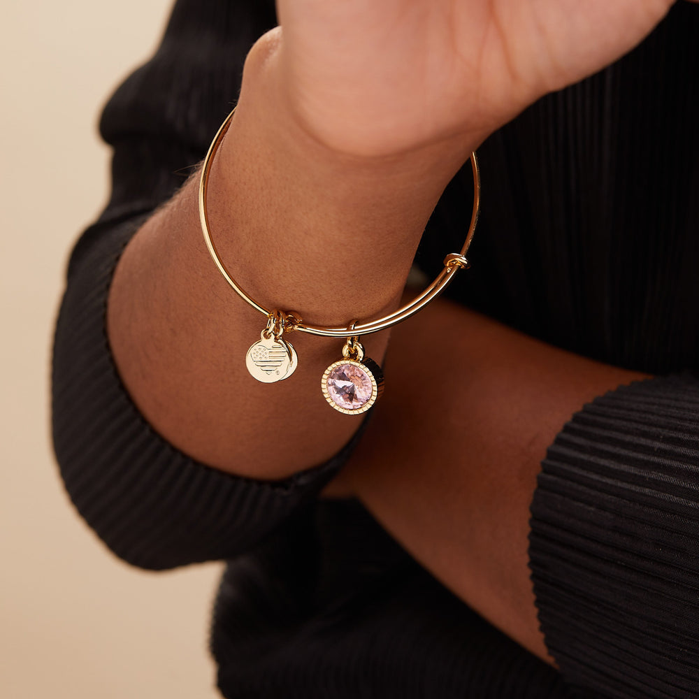Rose October Birthstone Charm Bangle Silver | Alex and Ani