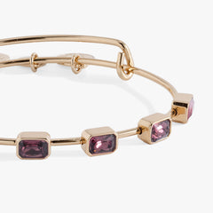February Birthstone Emerald Cut Bangle Gold | Alex and Ani