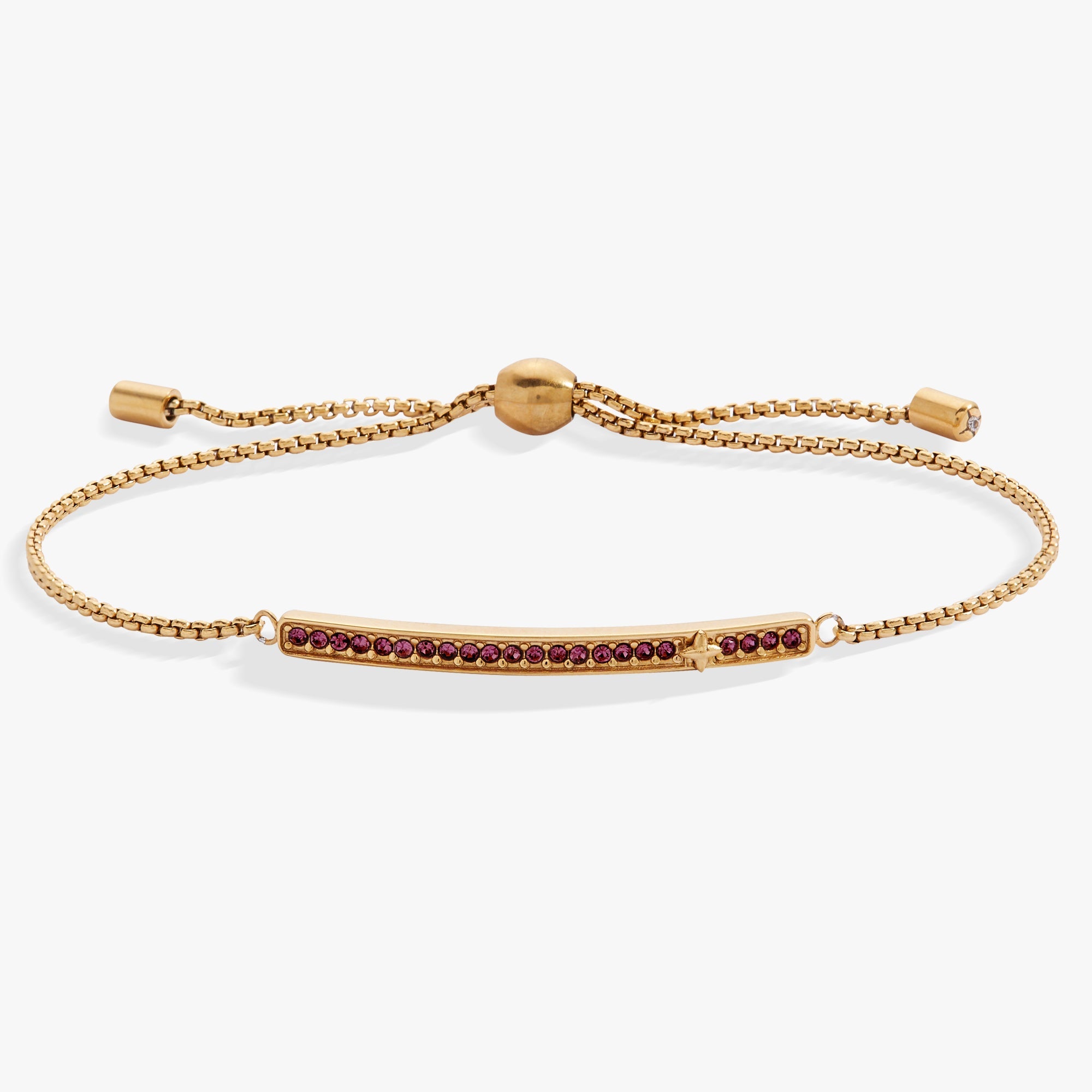 Birthstone Pave Bolo - February Stainless Steel Gold | Alex and Ani