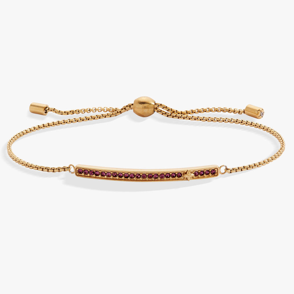 Birthstone Pave Bolo - February Stainless Steel Gold | Alex and Ani