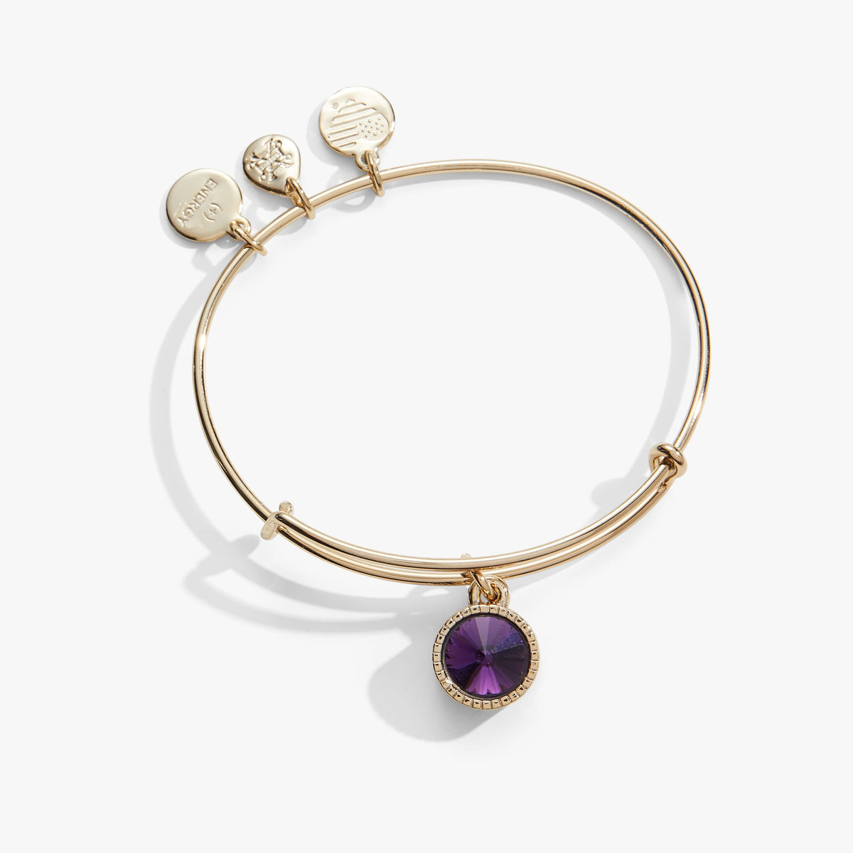 Amethyst February Birthstone Charm Bangle Gold | Alex and Ani