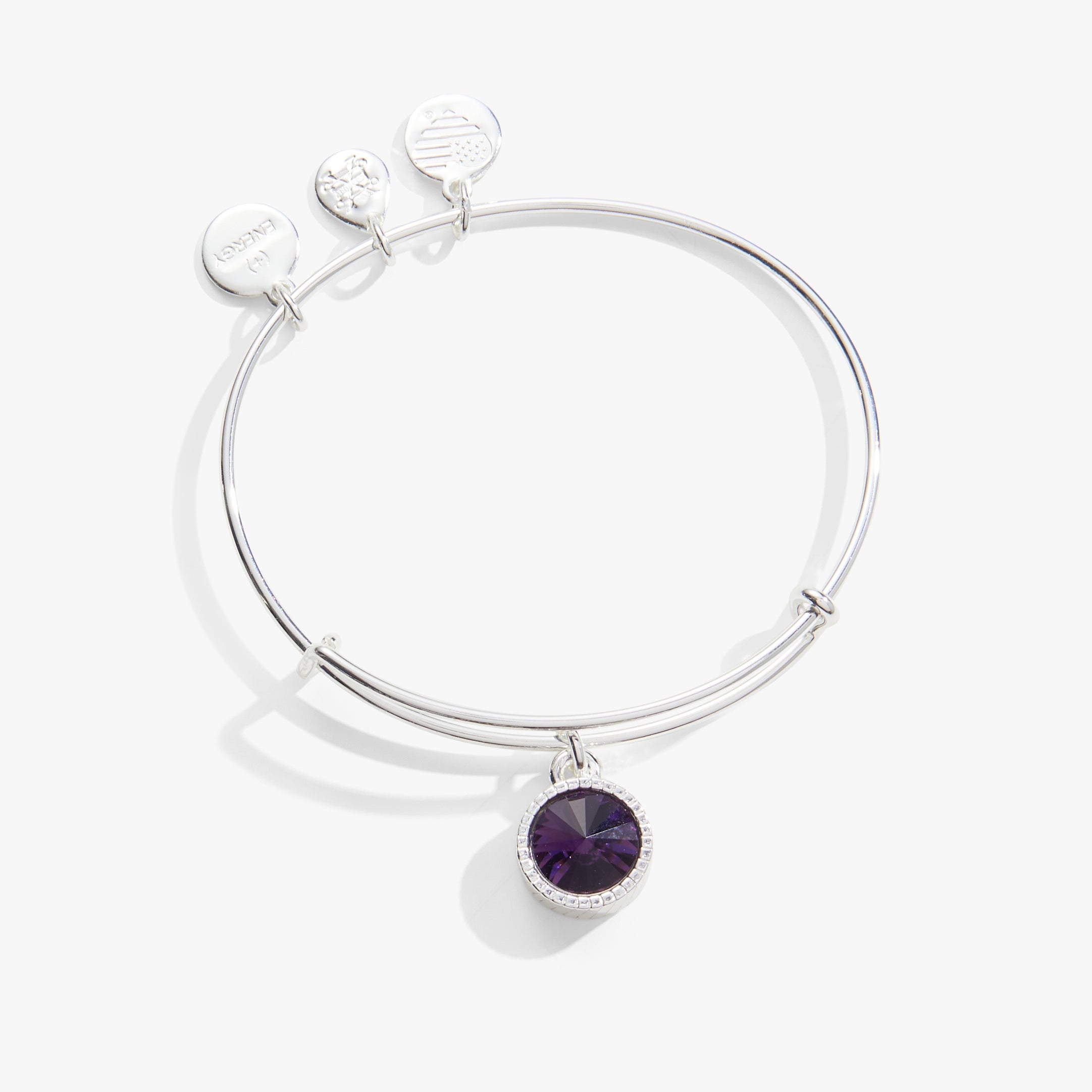 Amethyst February Birthstone Charm Bangle Gold | Alex and Ani