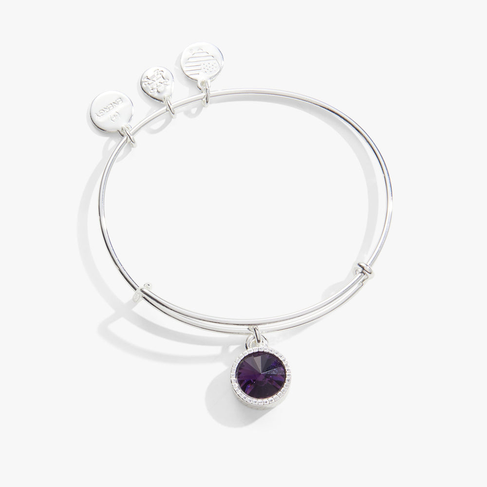 Amethyst February Birthstone Charm Bangle Gold | Alex and Ani