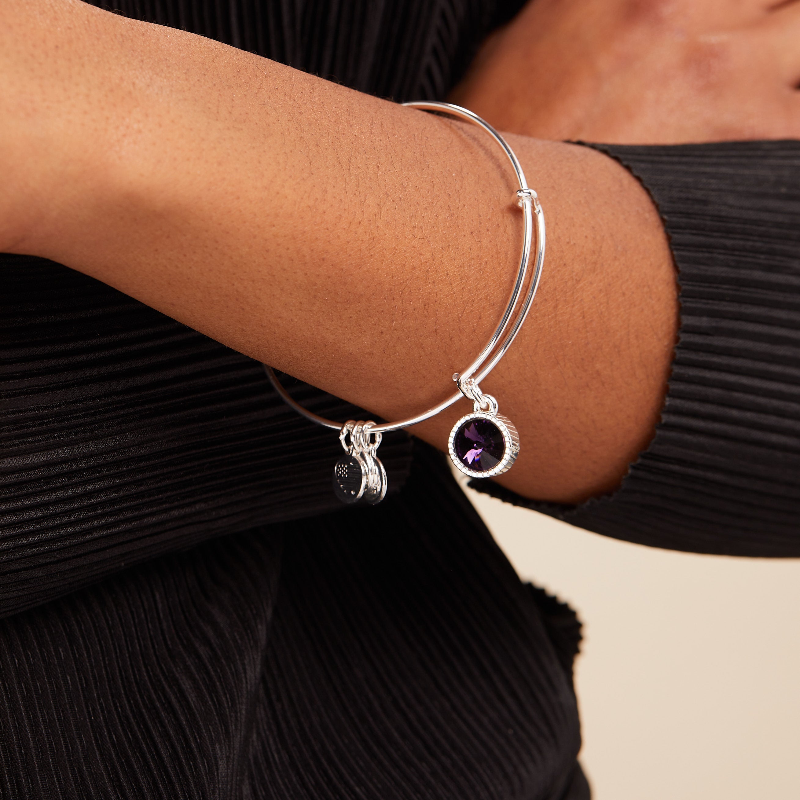 Amethyst February Birthstone Charm Bangle Gold | Alex and Ani