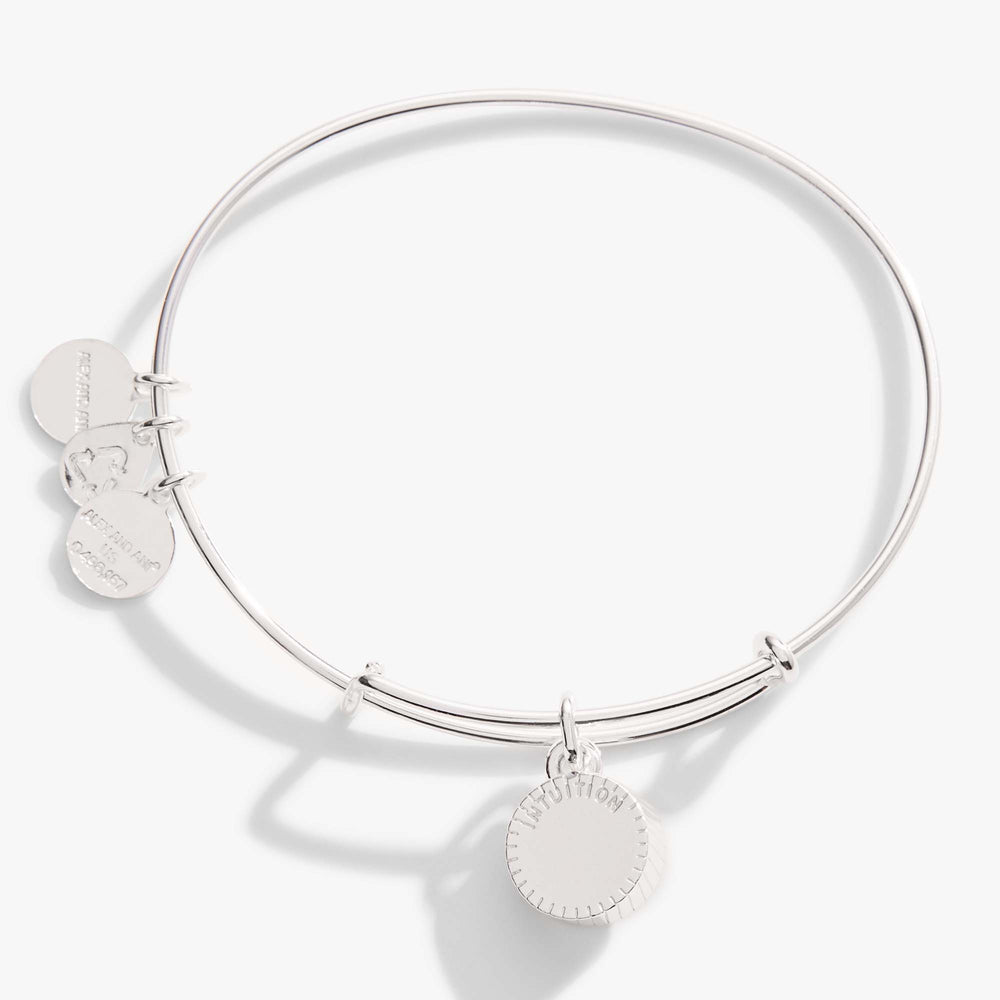Amethyst February Birthstone Charm Bangle Gold | Alex and Ani