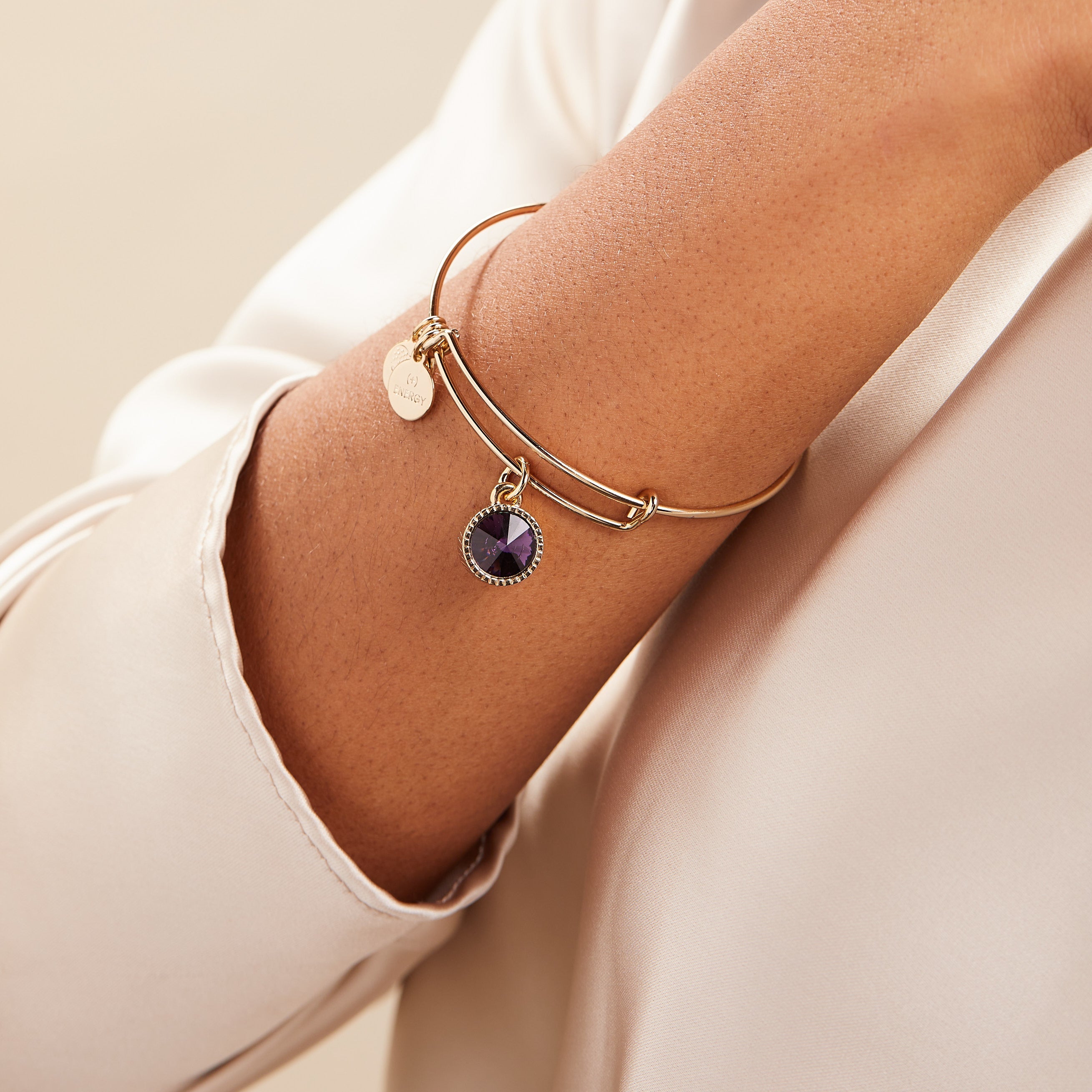 Amethyst February Birthstone Charm Bangle Gold | Alex and Ani