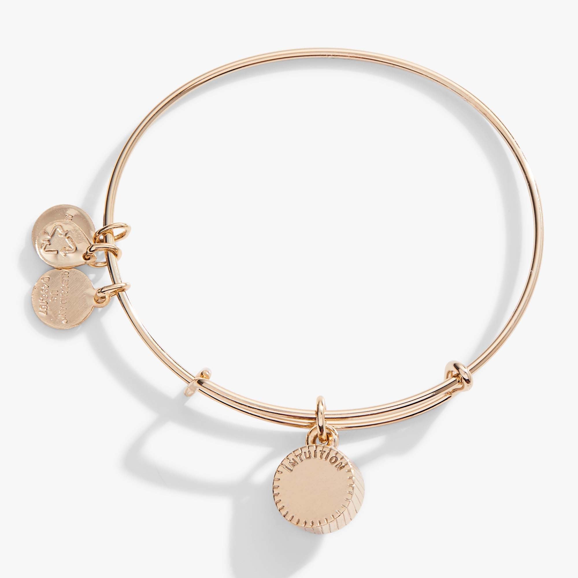 Amethyst February Birthstone Charm Bangle Gold | Alex and Ani