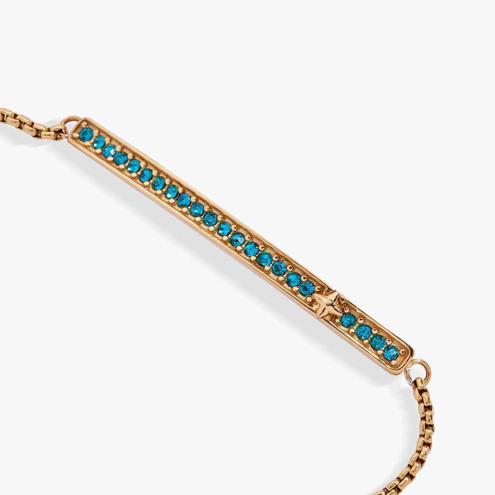 Birthstone Pave Bolo - December Stainless Steel Gold | Alex and Ani