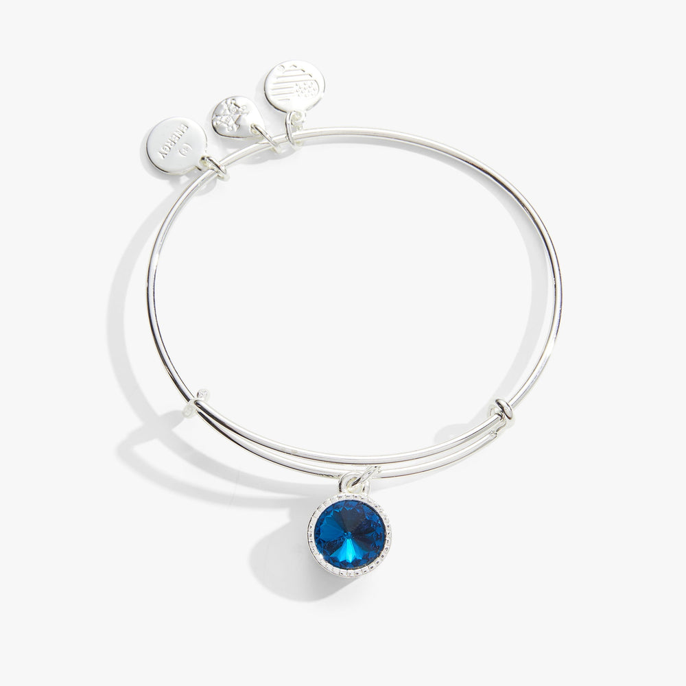 Blue Zircon December Birthstone Charm Bangle Silver | Alex and Ani
