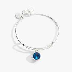 Blue Zircon December Birthstone Charm Bangle Silver | Alex and Ani