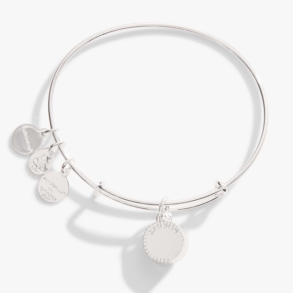 Blue Zircon December Birthstone Charm Bangle Silver | Alex and Ani