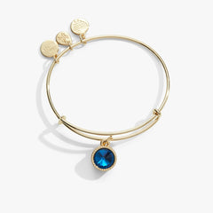 Blue Zircon December Birthstone Charm Bangle Silver | Alex and Ani