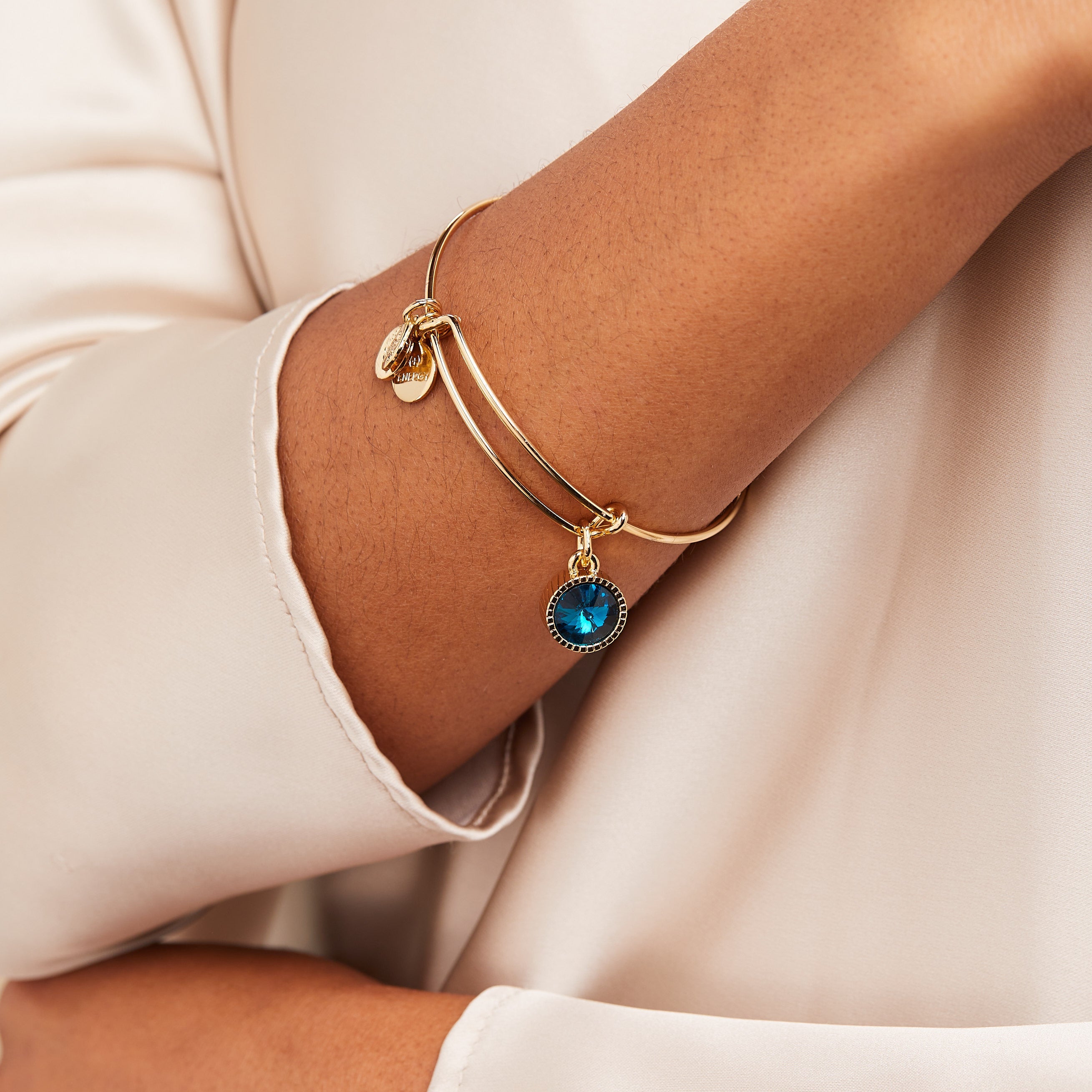 Blue Zircon December Birthstone Charm Bangle Silver | Alex and Ani