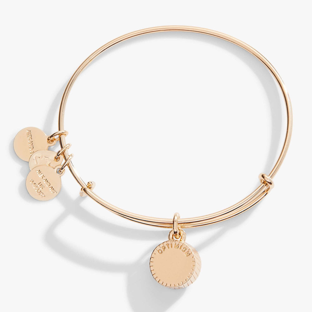 Blue Zircon December Birthstone Charm Bangle Silver | Alex and Ani