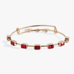 January Birthstone Emerald Cut Bangle Silver | Alex and Ani