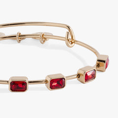 January Birthstone Emerald Cut Bangle Silver | Alex and Ani