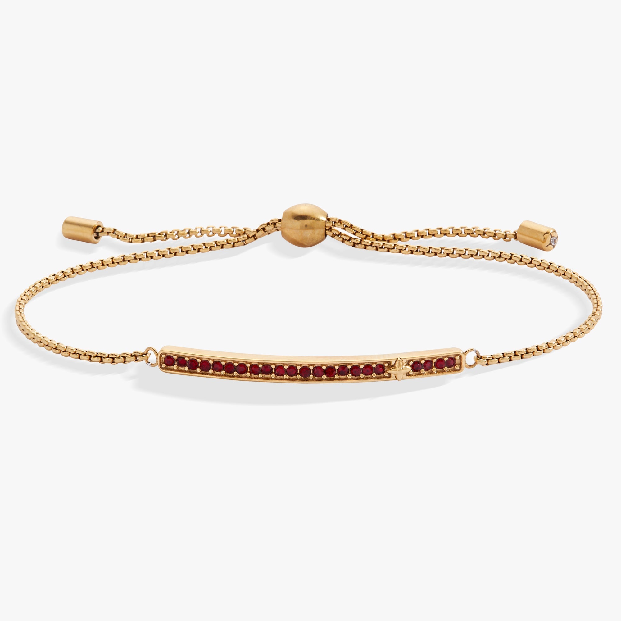 Birthstone Pave Bolo - January Stainless Steel Gold | Alex and Ani