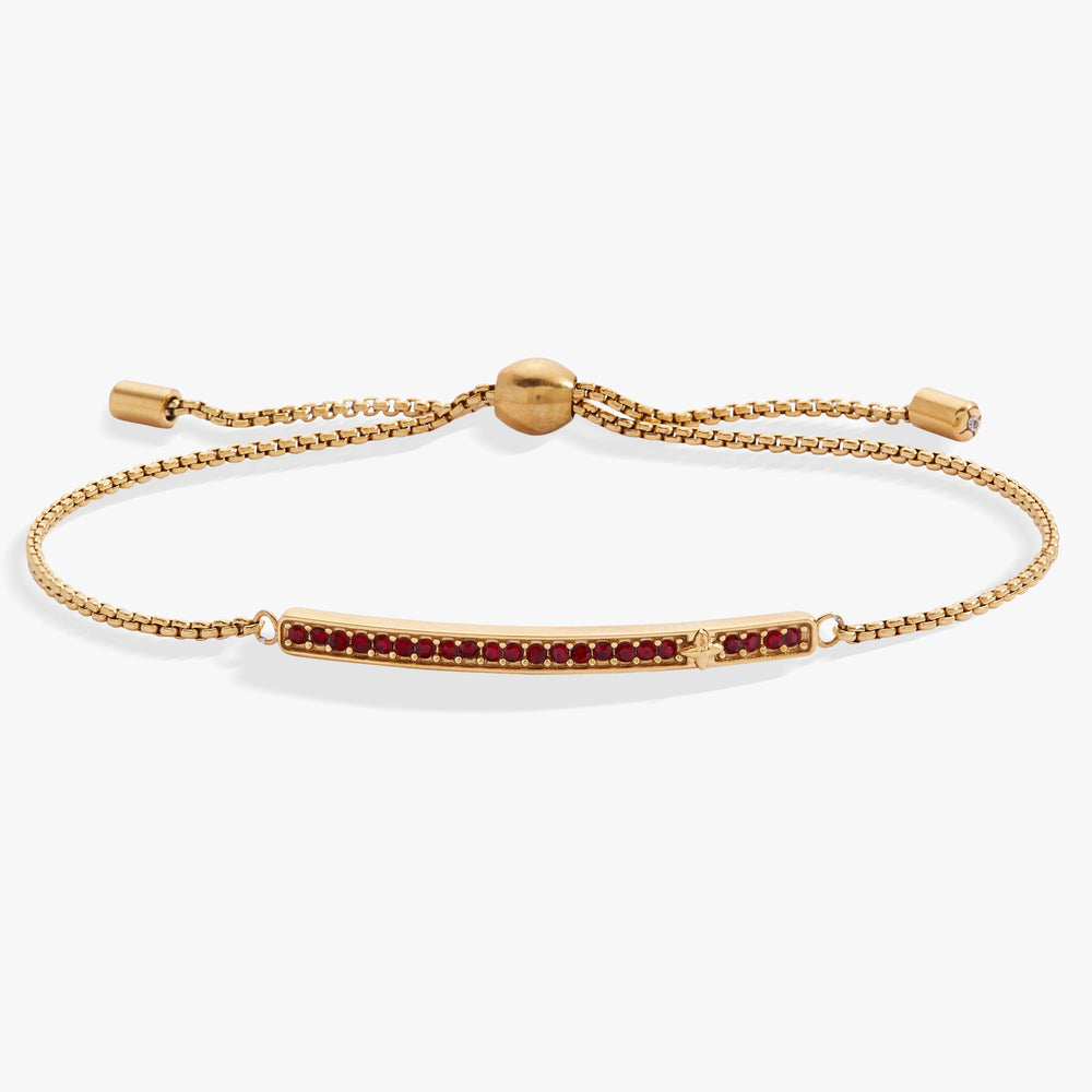 Birthstone Pave Bolo - January Stainless Steel Gold | Alex and Ani