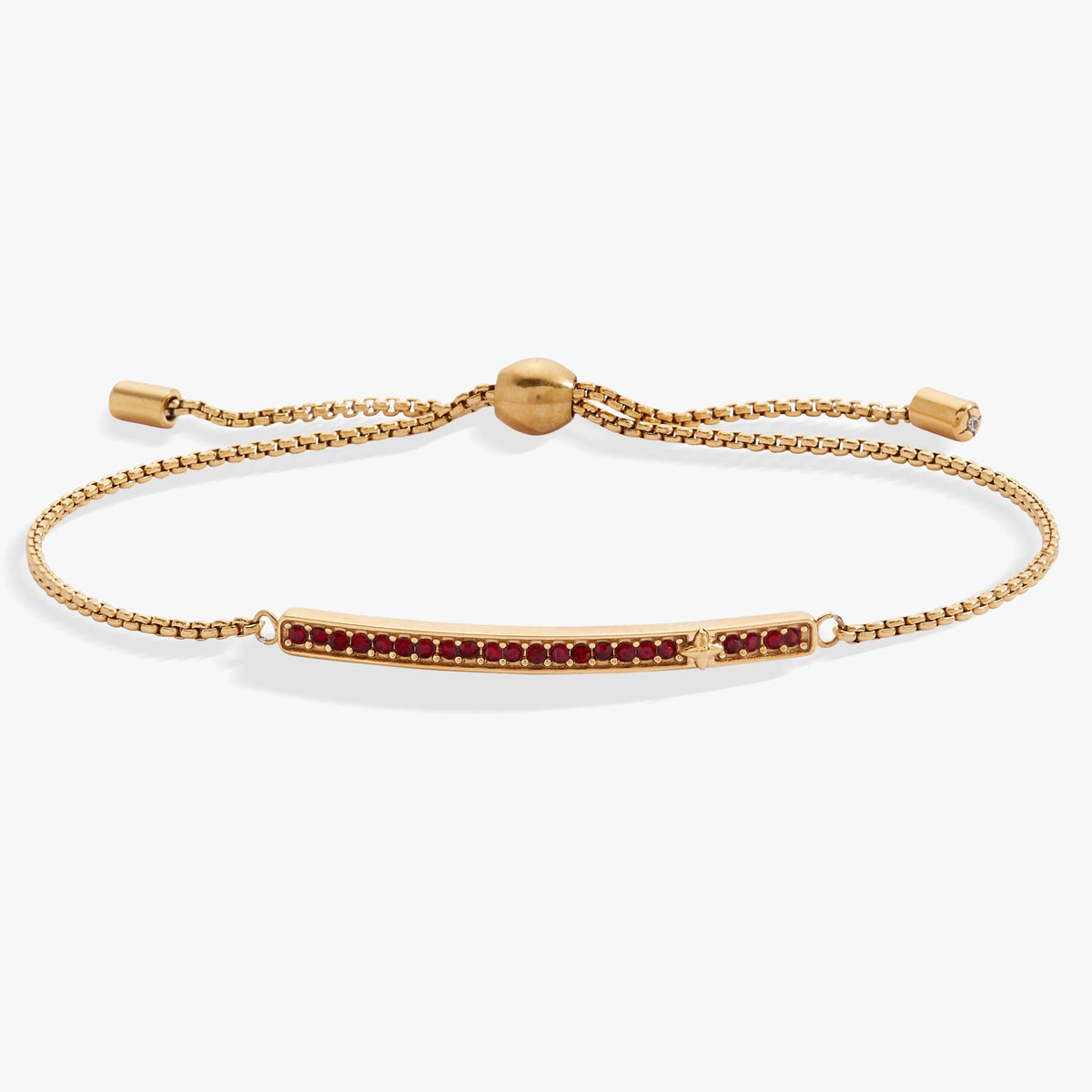 Birthstone Pave Bolo - January Stainless Steel Gold | Alex and Ani