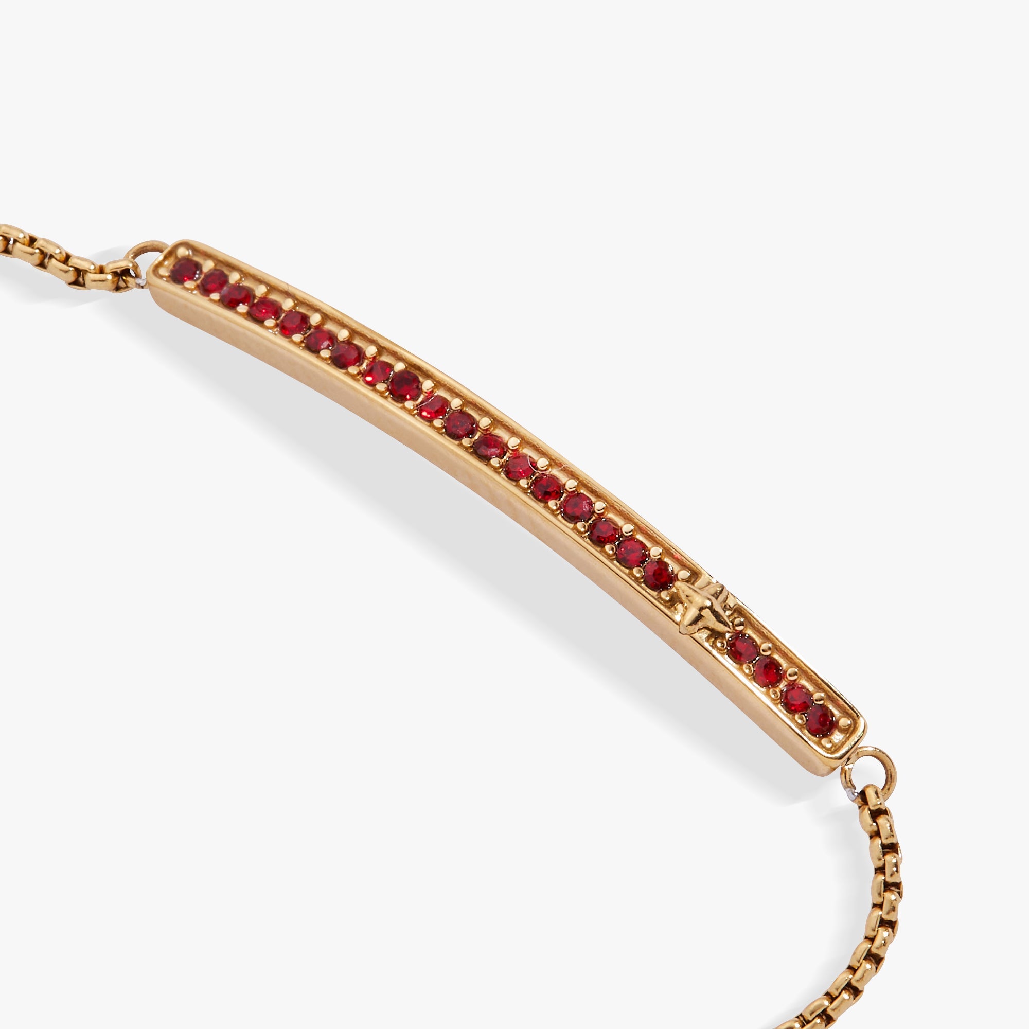 Birthstone Pave Bolo - January Stainless Steel Gold | Alex and Ani