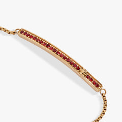 Birthstone Pave Bolo - January Stainless Steel Gold | Alex and Ani